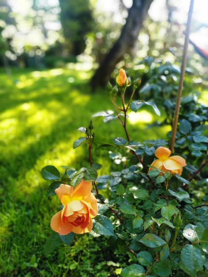 Romantic Garden Sea View Nervi Cenova Dış mekan fotoğraf