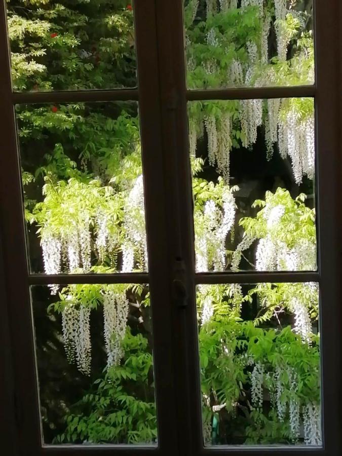 Romantic Garden Sea View Nervi Cenova Dış mekan fotoğraf