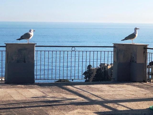 Romantic Garden Sea View Nervi Cenova Dış mekan fotoğraf