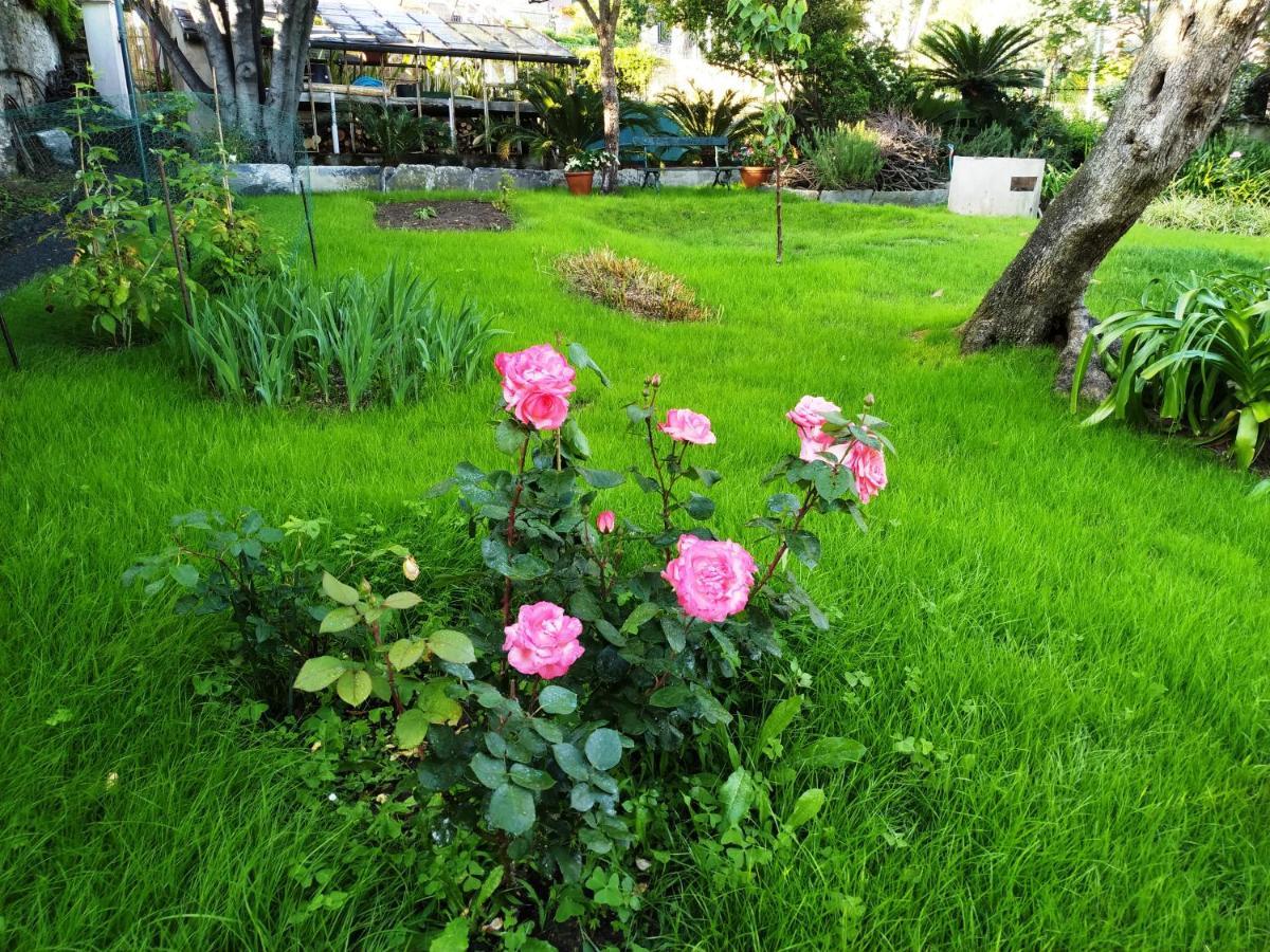 Romantic Garden Sea View Nervi Cenova Dış mekan fotoğraf